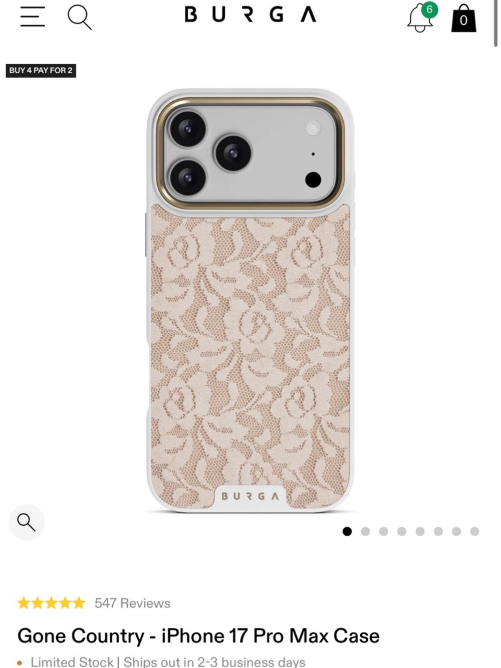 17PRO MAX BURGA White Lace Phone Case with Gold Trim